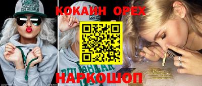 индика Абакан
