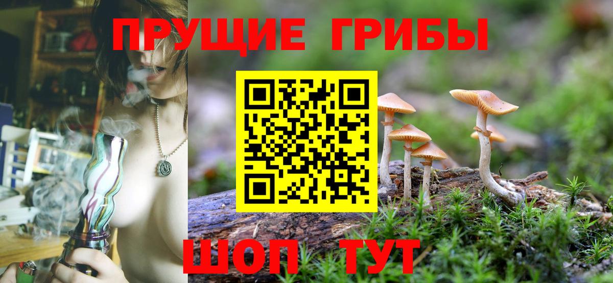 Галлюциногенные грибы прущие грибы  Псилоцибиновые грибы мухоморы  Вход с VPN  наркотики  Александров 
